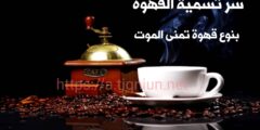 ما هي القهوة و ما انواعه و ما هي افضل الدول المصنعة له و ما سر تسمية قهوة تمنى الموت و ما هي مكوناته